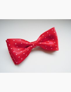 Elegantný motýlik Kristián DOTS