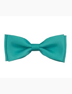 Elegantný motýlik Tyrkys