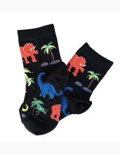 Detské ponožky DINO 2 páry