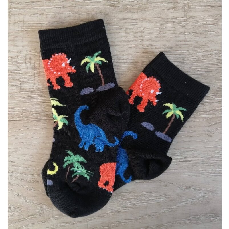 Detské ponožky DINO 2 páry