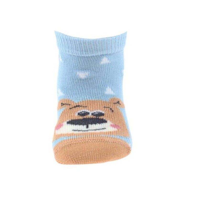 Baby ponožky Teddy Blue