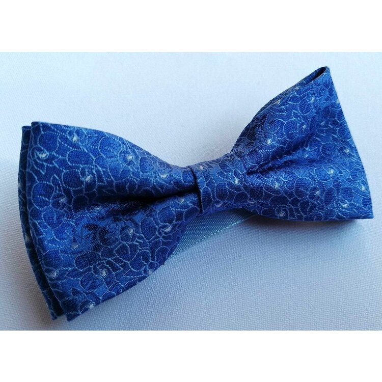 Elegantný motýlik Timur Blue