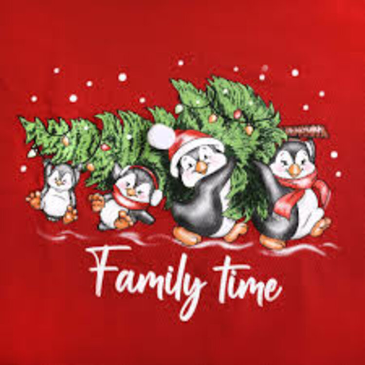 Dievčenské Vianočné pyžamo Family time